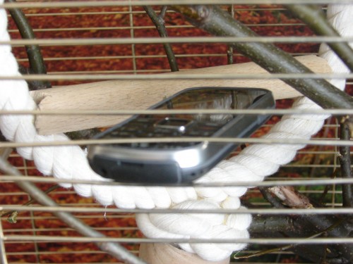Test Nokia 3720 Classic - jeden dzień w klatce z papugą