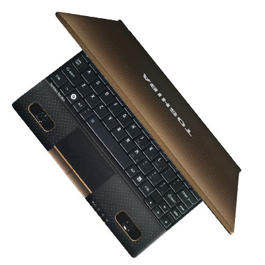 Toshiba mini NB550D