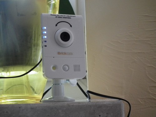 Smartcam: podłączony do sieci Wi-Fi