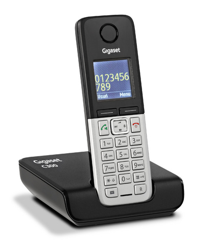 Siemens Gigaset C300