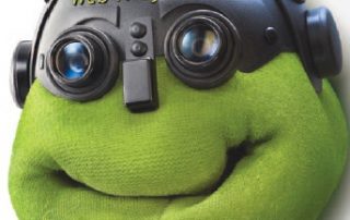Oswajacz internetowy