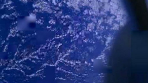 Obraz wykonany przez Bella