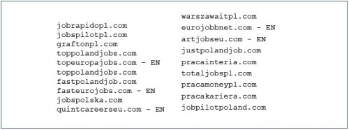 przykłady domen na jakie należało przesłać zgłoszenie