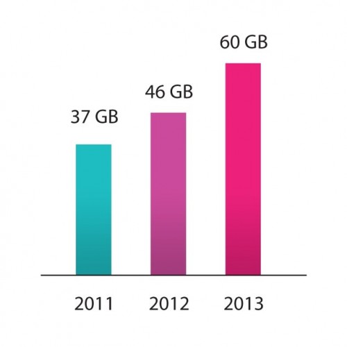 Średni, miesięczny transfer danych na użytkownika dostępu do internetu w Netii