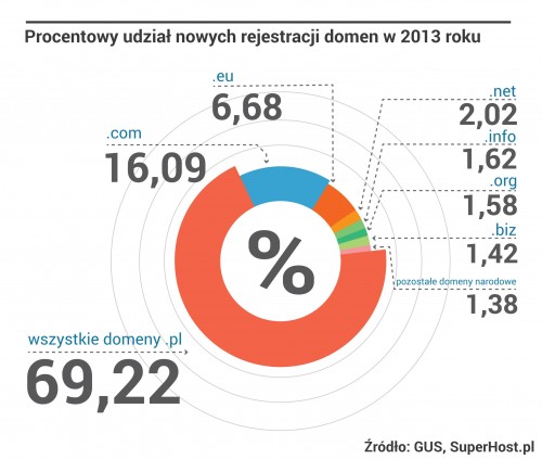 Rok 2013 rokiem domen internetowych