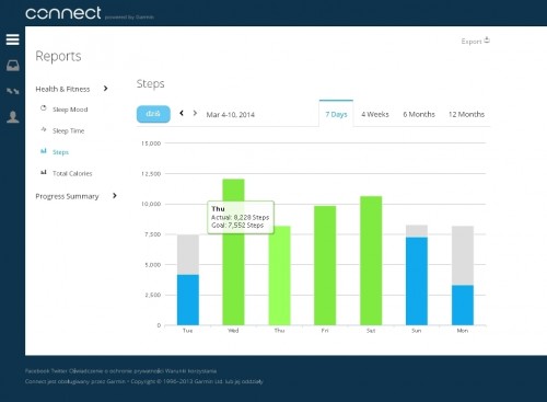 Garmin Connect Steps Summary