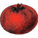 Rotten Tomato