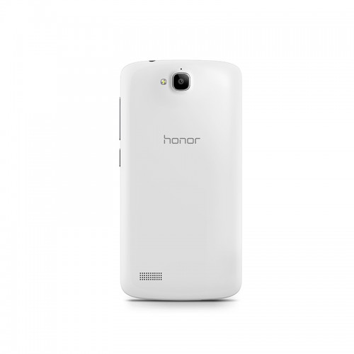 Honor Holly