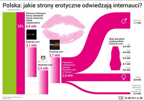 Polacy i erotyka