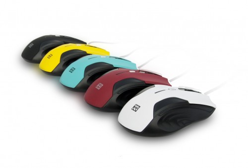 Gadżety i akcesoria HYKKER w Biedronce