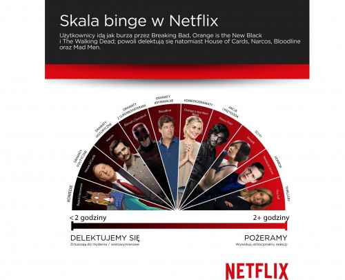 Netflix - raport VI2016