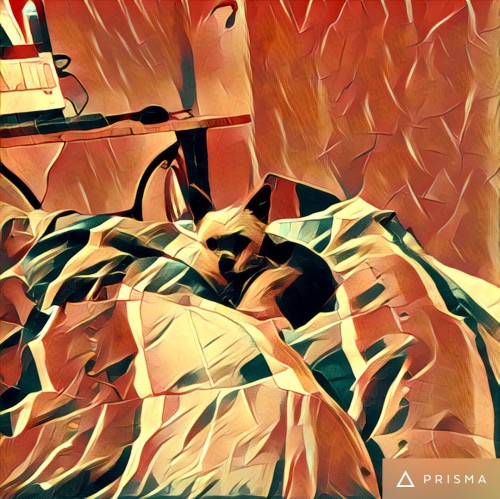 Prisma