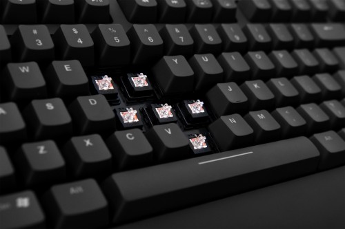 Zowie Celeritas II i G-SR