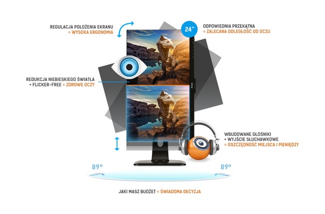 iiyama Polska - jaki monitor