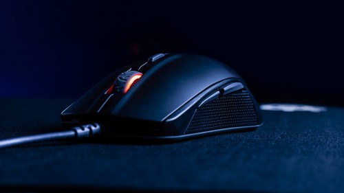 SteelSeries Rival 110