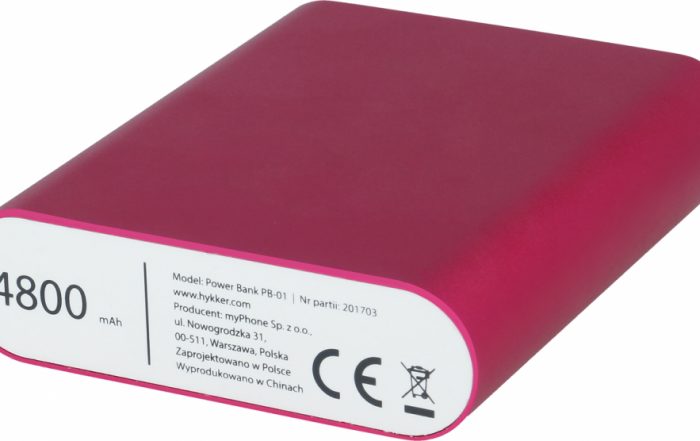 Power Bank 4800 mAh (3)