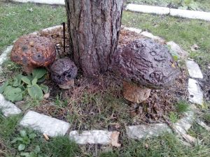 IMG 20180130 104203