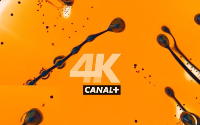 Platforma nc+ - rusza CANAL+ 4K Ultra HD