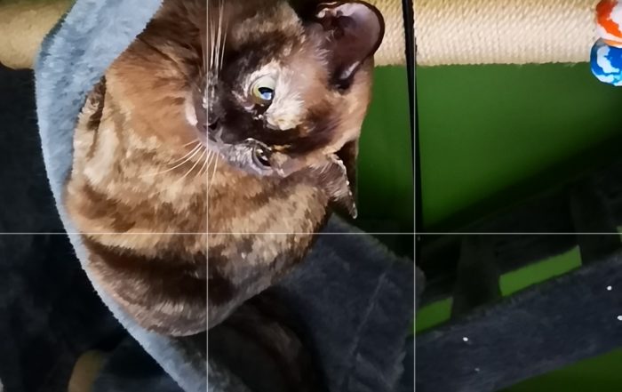 Screenshot 20180401 082605