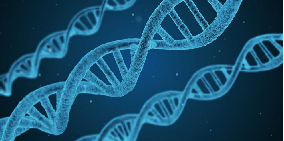DNA MyHeritage