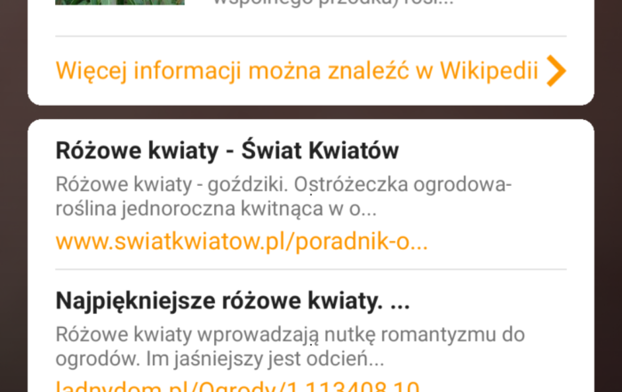 aparat rozpoznaje obiekt