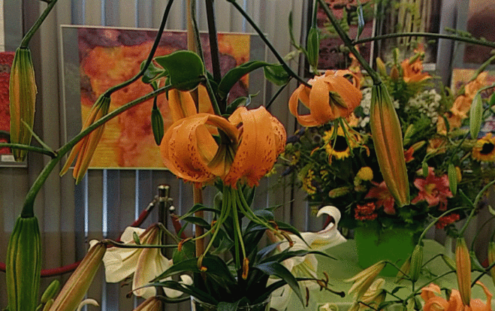 CMGPH 20180714 102945609