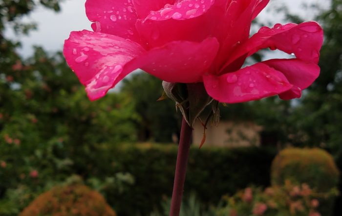 IMG 20180711 161728371