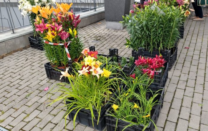 IMG 20180714 100655627 HDR