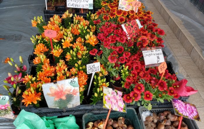 IMG 20180714 100749889 HDR