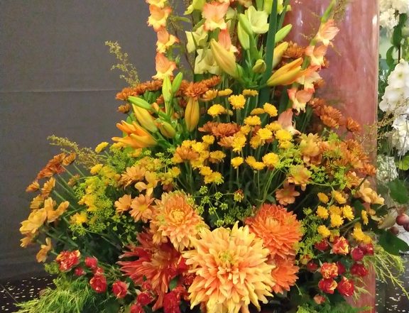 IMG 20180714 101441084