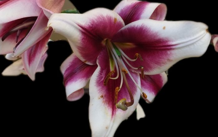 IMG 20180714 101750388 LAYER