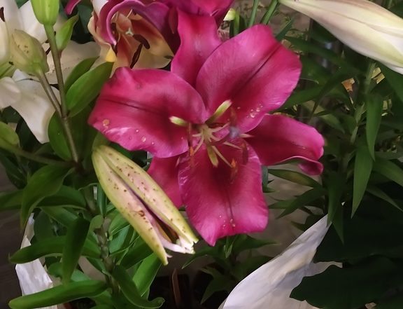 IMG 20180714 102505544