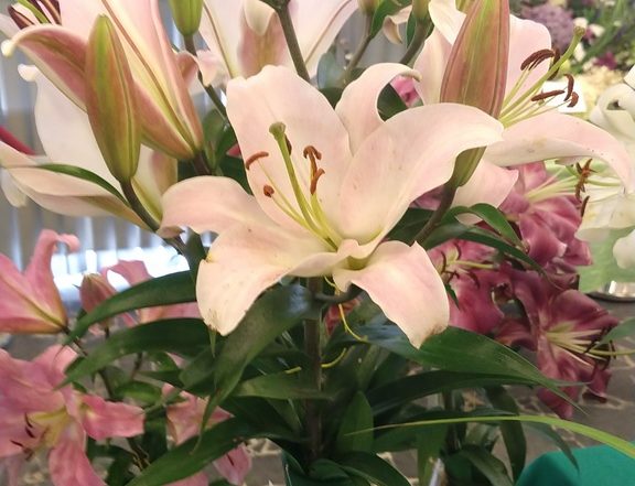 IMG 20180714 103559858