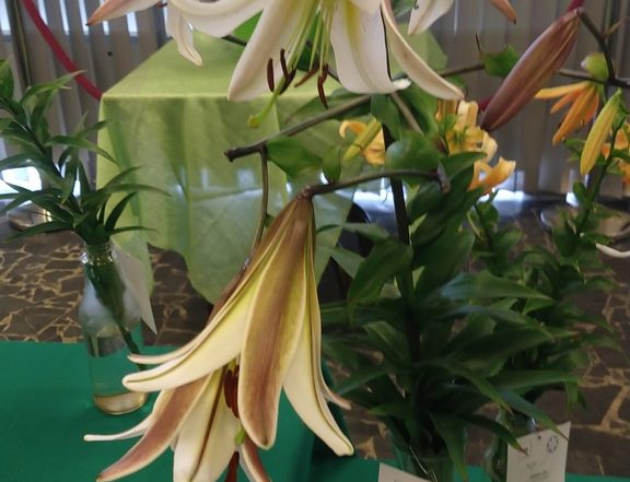 IMG 20180714 103617813