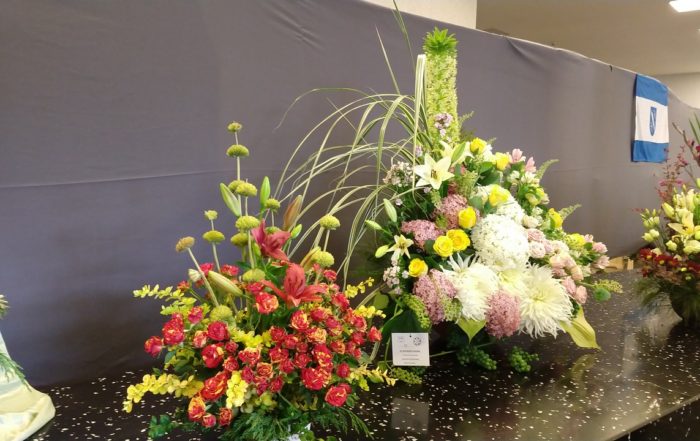 MVIMG 20180714 101159841