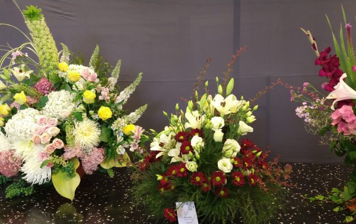 MVIMG 20180714 101221474