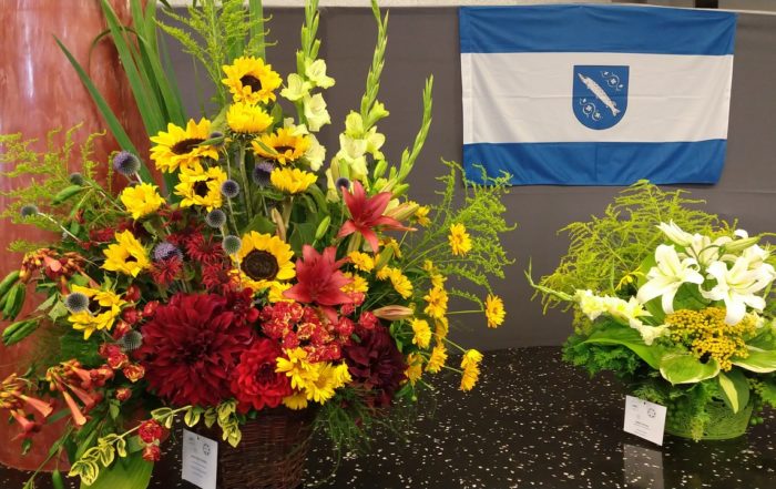 MVIMG 20180714 101232287