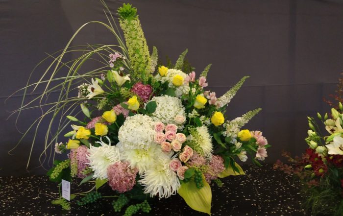 MVIMG 20180714 101307752