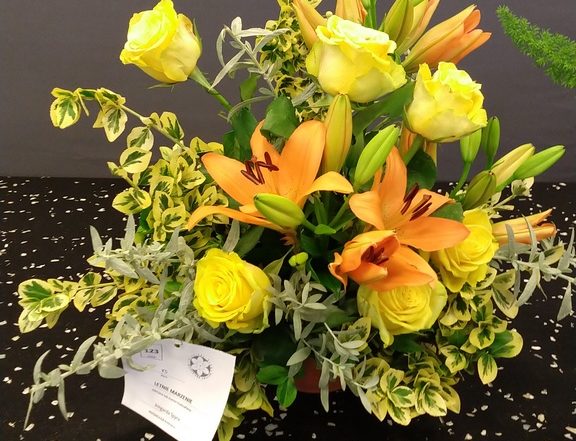 MVIMG 20180714 101324430