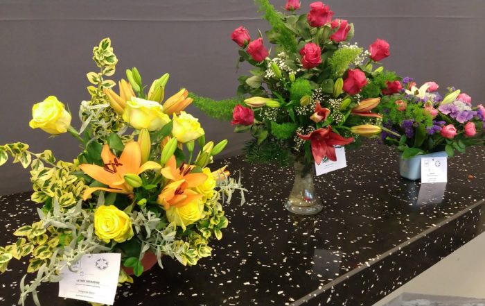 MVIMG 20180714 101330431