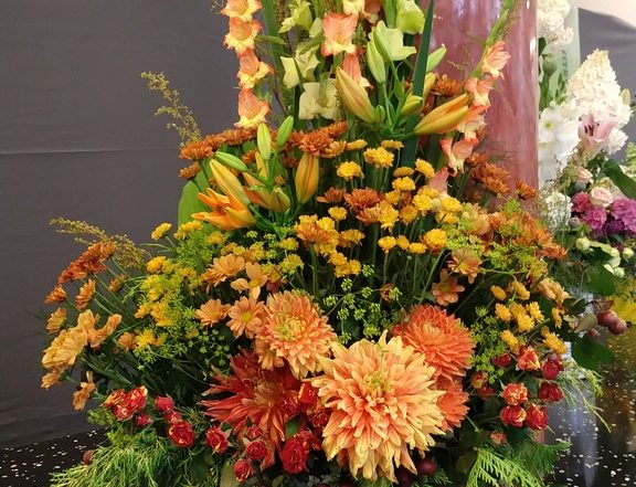 MVIMG 20180714 101352462