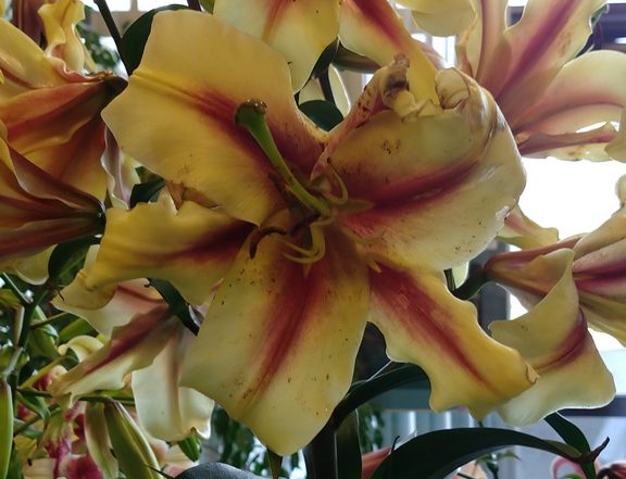 MVIMG 20180714 101635067