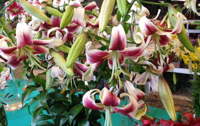 MVIMG 20180714 101705574