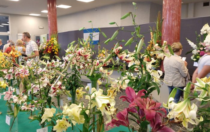 MVIMG 20180714 101938577