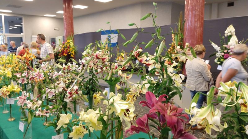 MVIMG 20180714 101938577