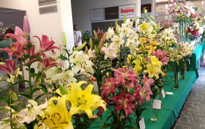 MVIMG 20180714 101947127