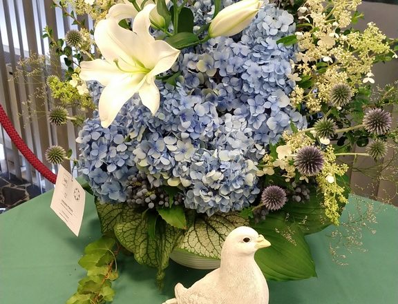 MVIMG 20180714 102035267