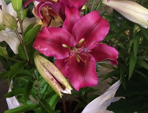 MVIMG 20180714 102507357