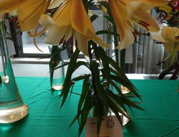 MVIMG 20180714 102540317