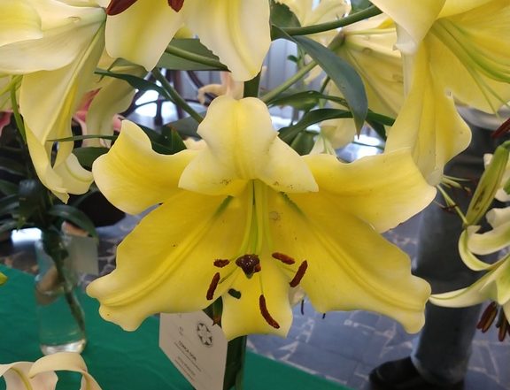 MVIMG 20180714 103308242